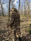 Preview: KMCS Cloak next gen