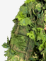Preview: KMCS Cloak next gen